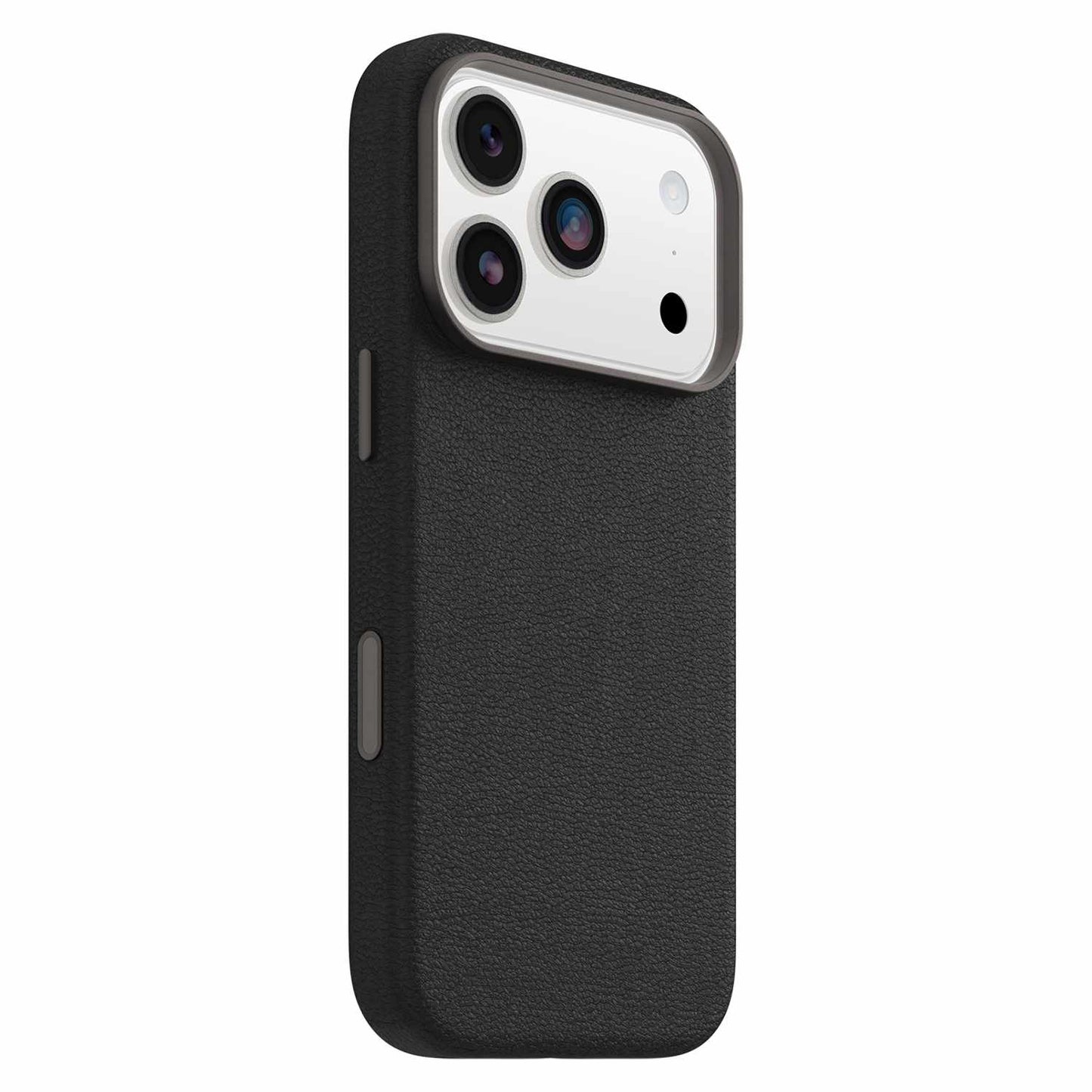 7799044 Symmetry Cactus Leather MagSafe Case w/Camera Control iPhone 17 Pro Noir Ash (Black)