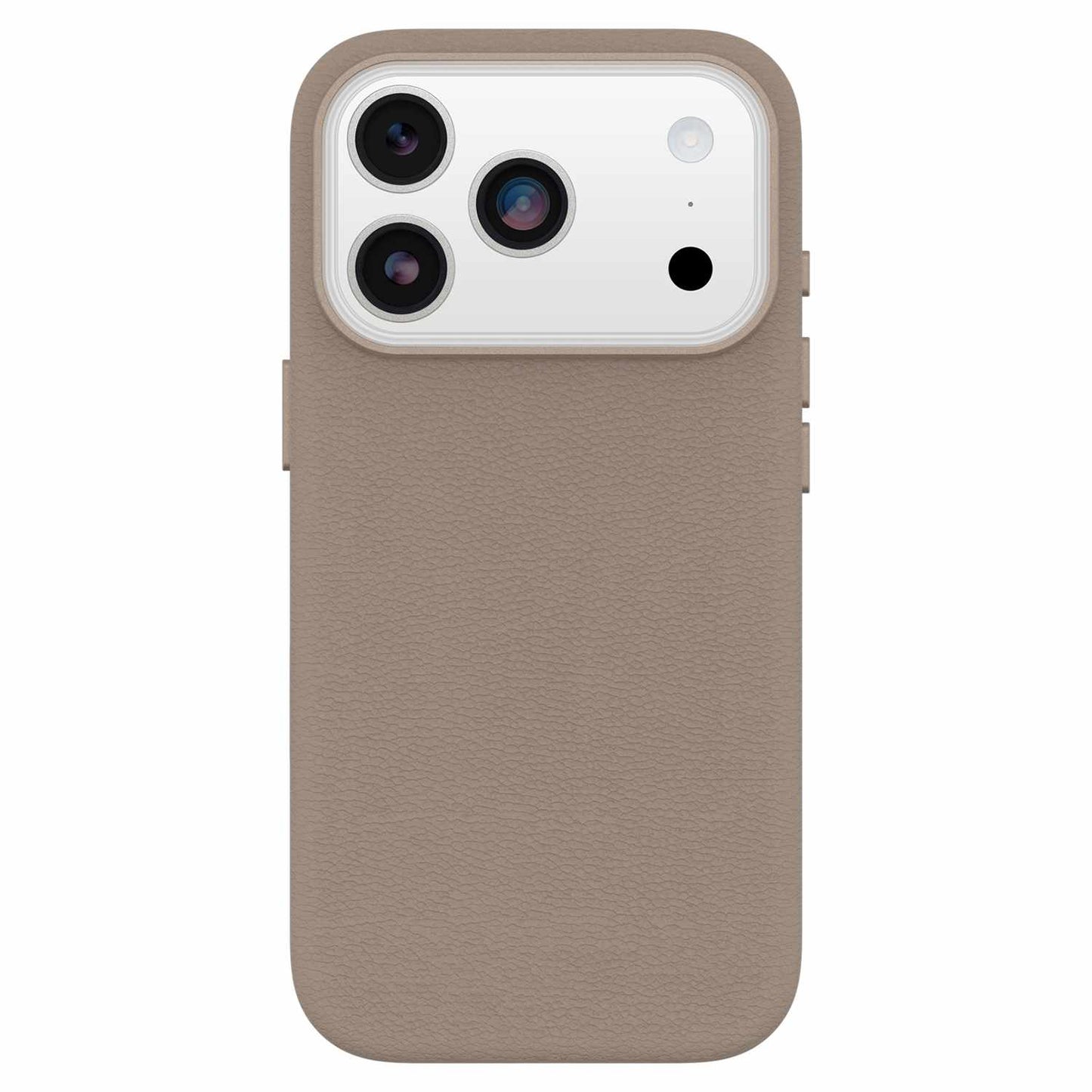 7799056 Symmetry Cactus Leather MagSafe Case w/Camera Control iPhone 17 Pro Grey Comfort