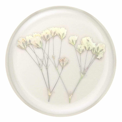806775 PopGrip Pressed Flower Baby's Breath