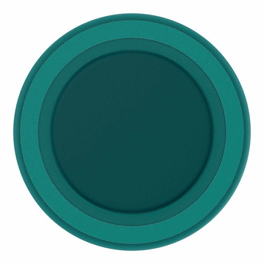 808972 PopGrip for MagSafe Round with Adapter Ring Fresh Pine Soft Touch
